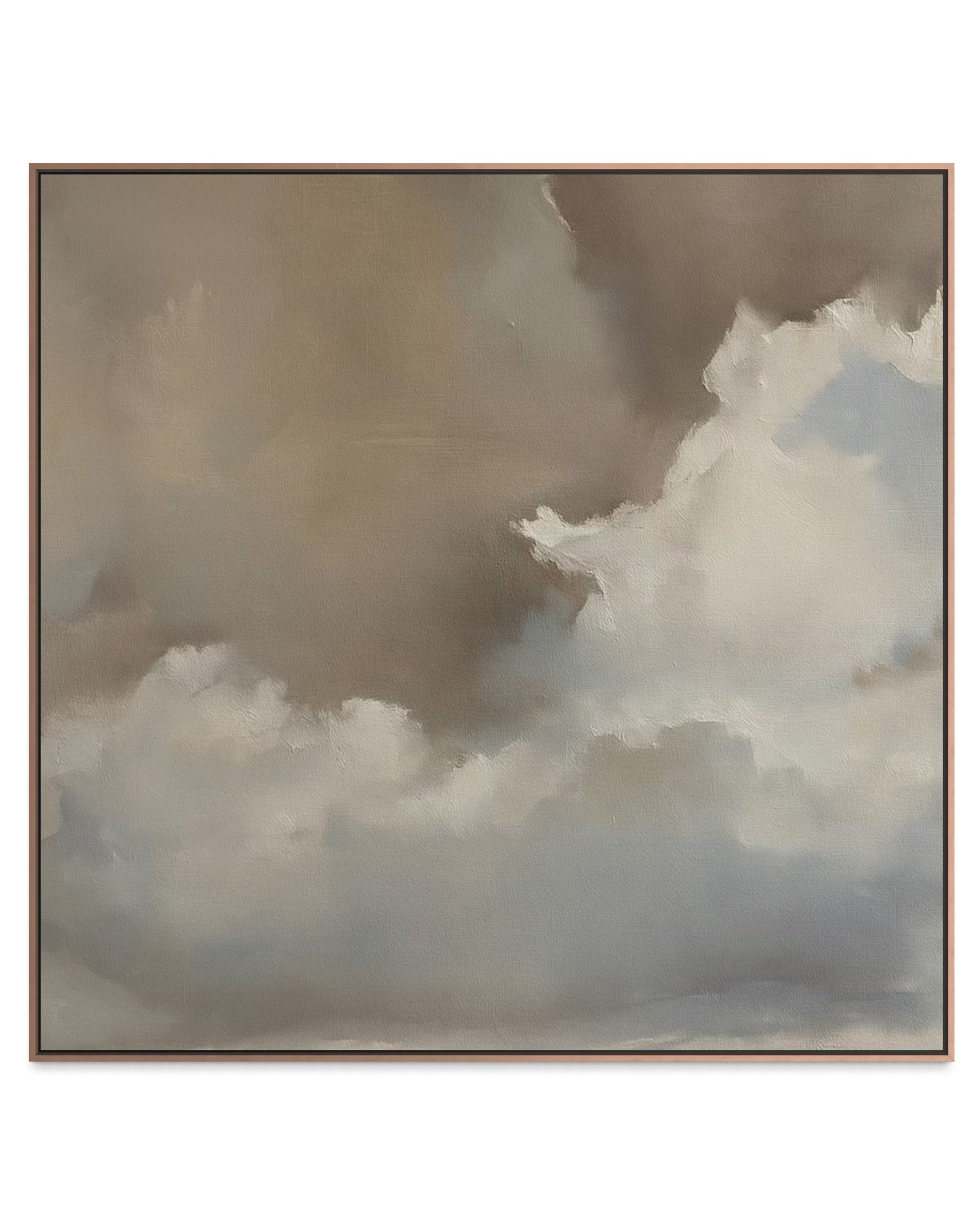 "Lost In The Clouds" Canvas Print